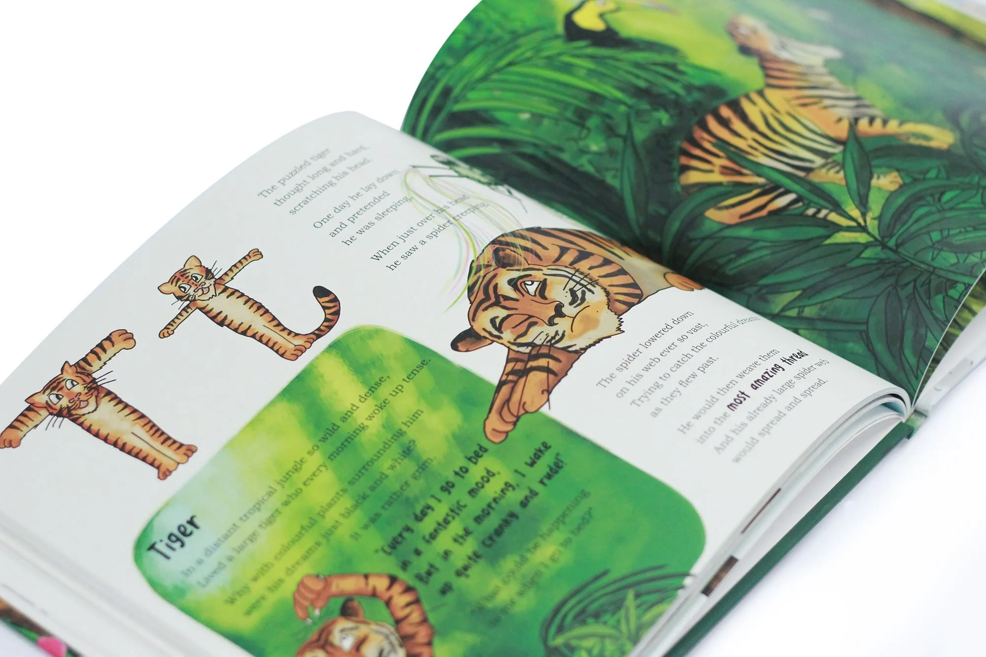 Animalphabetical Adventures Children Book Language learning tool for pre-schoolers by Kinga White – Ages 5-7 - Hardback