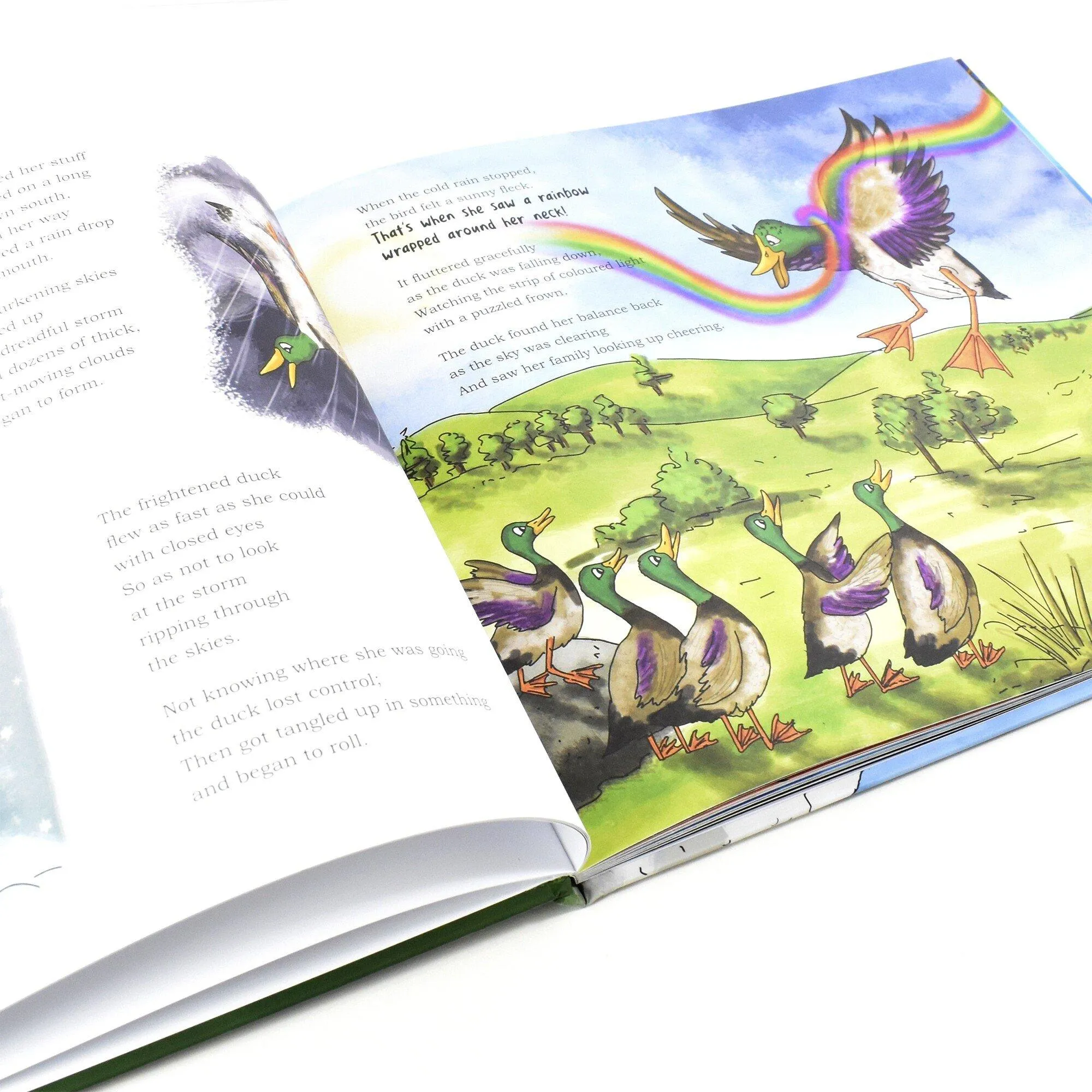 Animalphabetical Adventures Children Book Language learning tool for pre-schoolers by Kinga White – Ages 5-7 - Hardback
