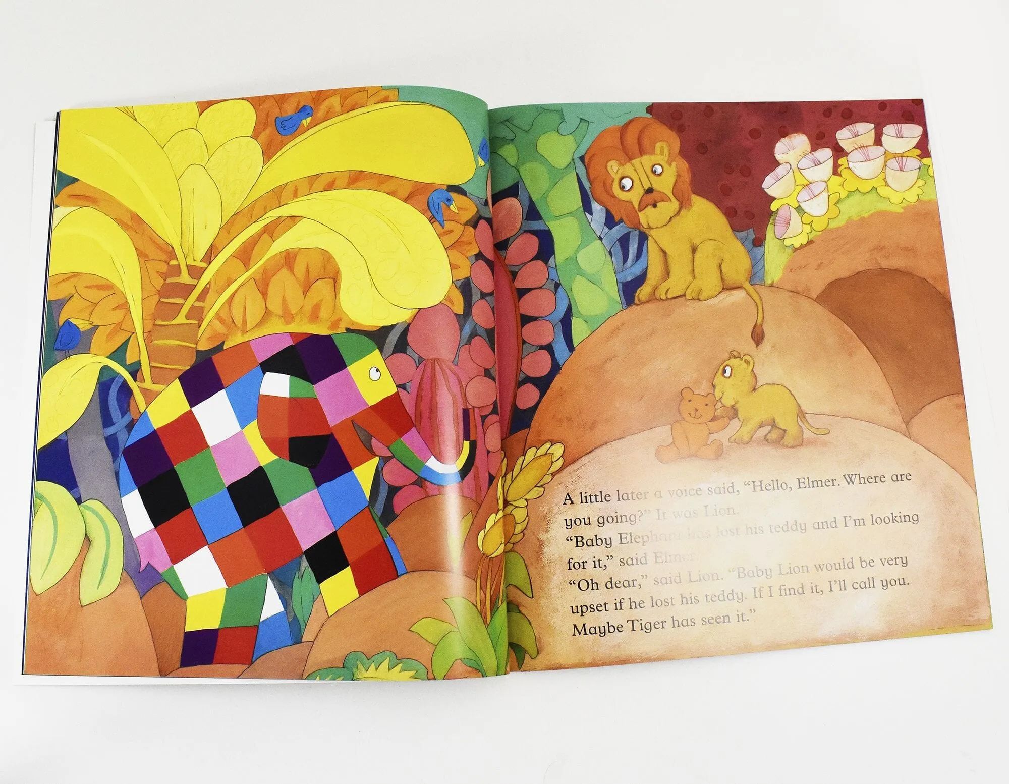 Elmer Picture 13 Books Collection by David McKee - Ages 5  - Paperback